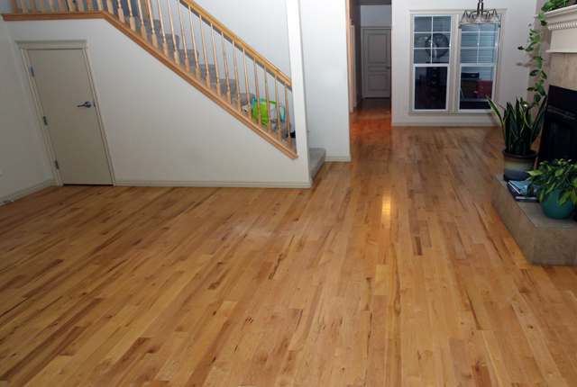 Maple Hardwood Floor 3725b