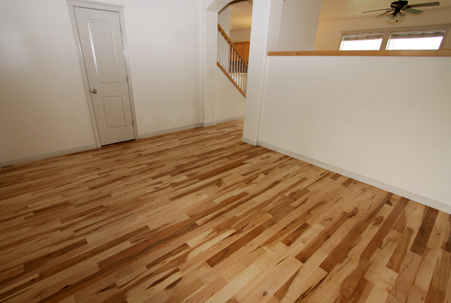 Maple Hardwood Flooring 2693b