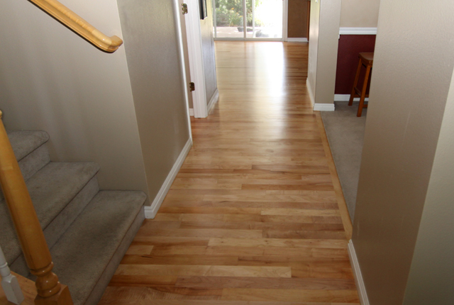 Maple Refinish Hardwood Floor 3318a