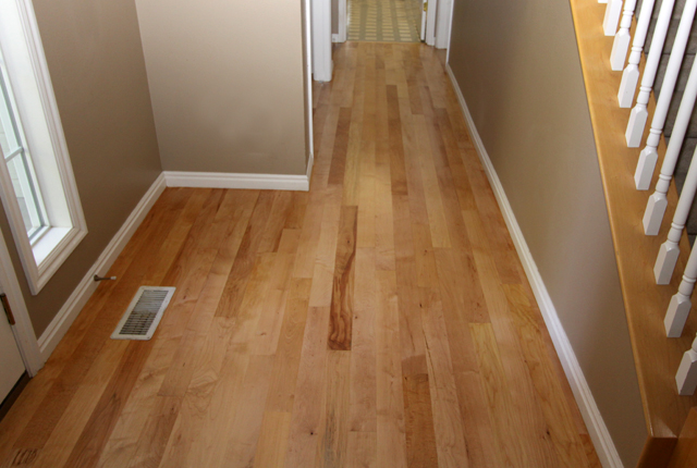 Maple Refinish Hardwood Floor 3318b