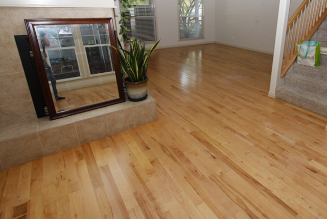 Maple Hardwood Floor 3725a